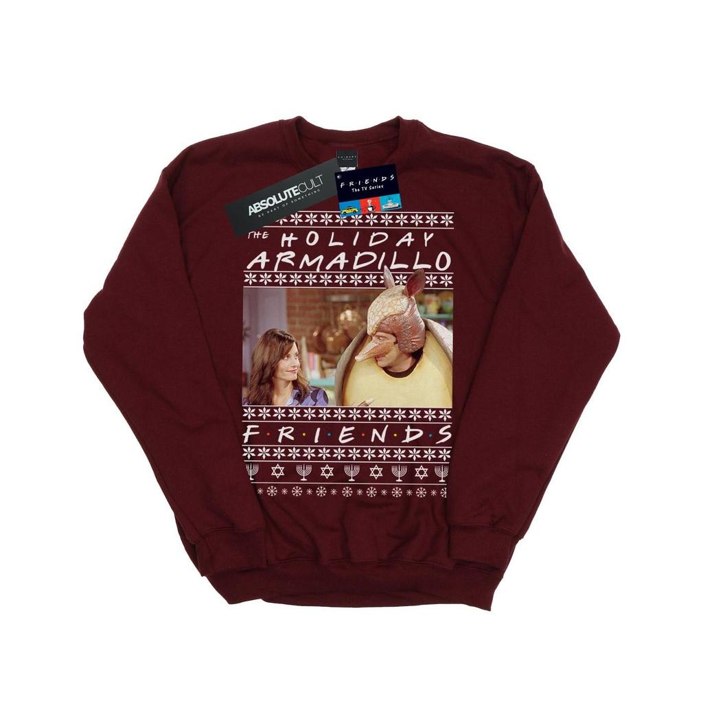 Friends Boys Fair Isle Holiday Armadillo Sweatshirt