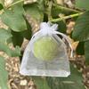 Fruit Protection Bags Drawstring Closure Mesh Fruit Bag Reusable Fine Mesh Covers for Tomatoes Strawberries Vegetables Protection from Insects Birds