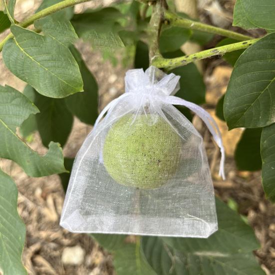 Fruit Protection Bags Drawstring Closure Mesh Fruit Bag Reusable Fine Mesh Covers for Tomatoes Strawberries Vegetables Protection from Insects Birds