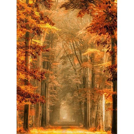 huacan 5D Diamond Embroidery Sale Landscape Pictures Of Rhinestones Diamond Painting Full Square Forest Cross Stitch