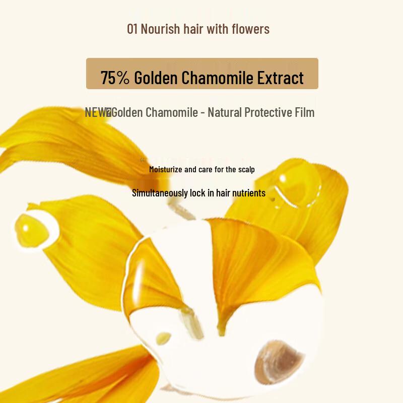 Baitina Tea Tree Oil Control Shampoo