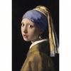 Vintage Metal Wall Art Girl With Pearl Earring Home Decor