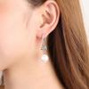 Lindon Copper Alloy Zircon Earrings Drop Earrings For Women Wedding Party Gifts