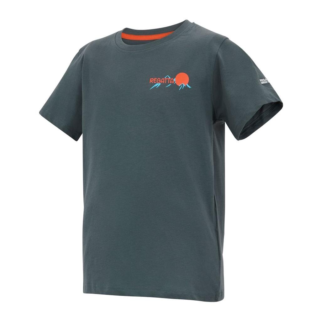 Regatta Childrens/Kids Bosley Mountain Scene Back Print T-Shirt