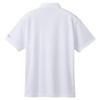 DESCENTE Polo Short Simple Size L Shirt, Sleeve, Button-Down, Sweat-Wicking, Quick-Drying, Design, Unisex, WH00(ST4FHSZ1MB),