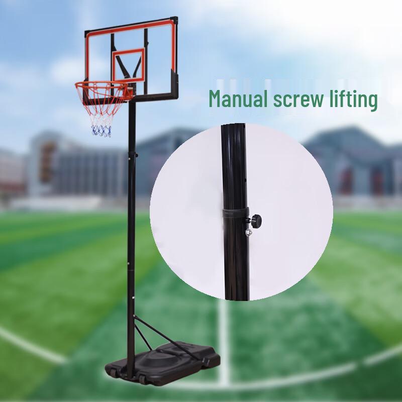 Longchan Wall-Mounted & Portable Basketball Hoop