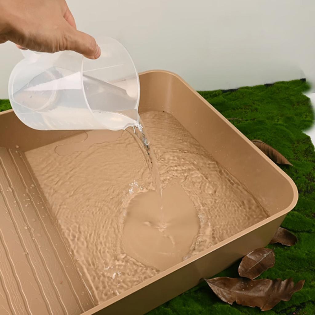 Reptile Bathing Pool with Ramp Reptile Food Water Bowl for Frog Turtle Gecko Tortoise Food Dish Reptile Food Water Bowl