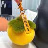 Colorful Persimmon Band Soft Keychain with Lucky Blessing Plush Cute Persimmon Plush Toy Ornament PP Cotton Stuffed