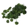 Reptile Simulation Plant Decorative Landscaping False Vine for Reptile Rainforest BoxNFF?83 Green