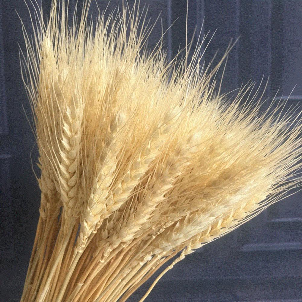 100PCS Realistic Wheat Ears Bouquet Dried Wheat Sheaves Bundle Photography Props for Wedding Decoration