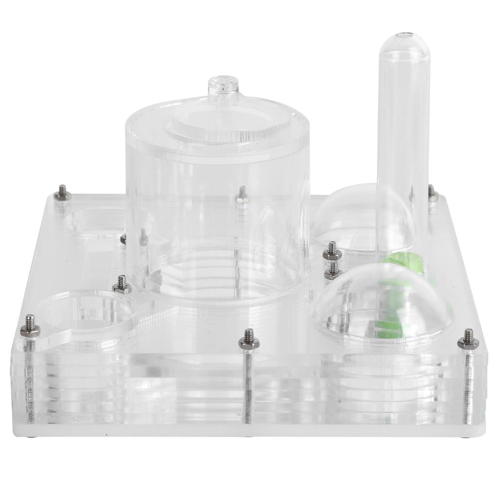 Acrylic Ant Breeding Box Transparent Watching Feeding Case Ants House Toy for Children