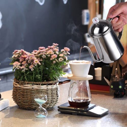 Love-KANKEI Coffee Drip Pot, Narrow-Mouth Stainless Steel Drip Kettle (with Thermometer)