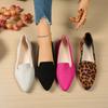 2025 Autumn New Foreign Trade Large Size One Pedal Pointed Head Flat Bottom Casual Versatile Leopard Print Lightweight Single Shoes Women