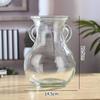 Glossy Retro Gradient Glass Vase with Double Ears for Fresh or Dried Flowers