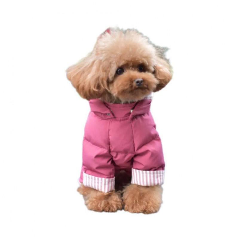 Warm Winter Pet Dog Cotton Coat Small Breeds Teddy Bichon S To XXL