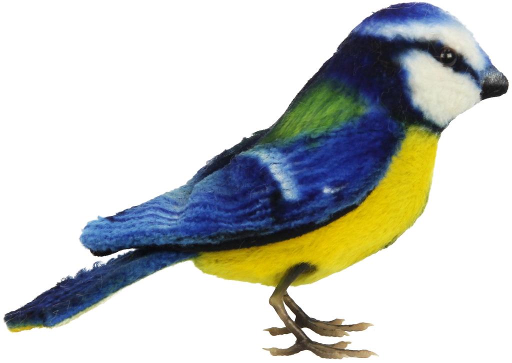 BH8210 HANSA Blue Tit 13