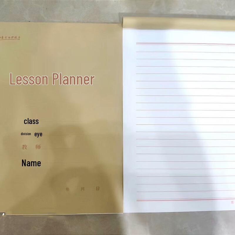 Teacher s Professional Lesson Planning Notebook