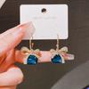 Premium Design Niche Temperament Stud Earrings Women's Blue Earrings 925 Silver Exquisite Light Luxury Versatile Earrings