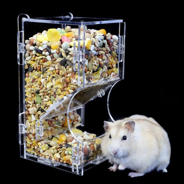 hamster feeder automatic