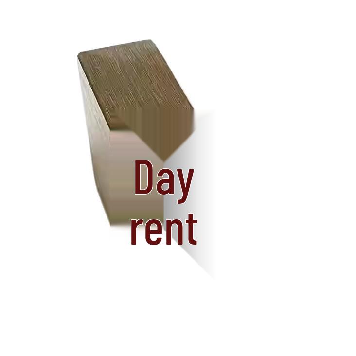 Celestial Master Taoist Brass Seal - Traditional Chinese Cultural Ornament and Gift