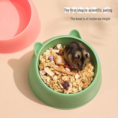 Tigela Grande Anti-Salpicos para Comida de Hamster - Prato Especial Urso Dourado para Necessidades Diárias