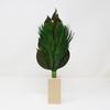 [A&K] Kitchen Stovetop God, Arajin Pine, Medium Size, Sakaki Tree Stand Set [Made with Fresh Leaves] (Preserved with High-Quality Tanba Camellia
