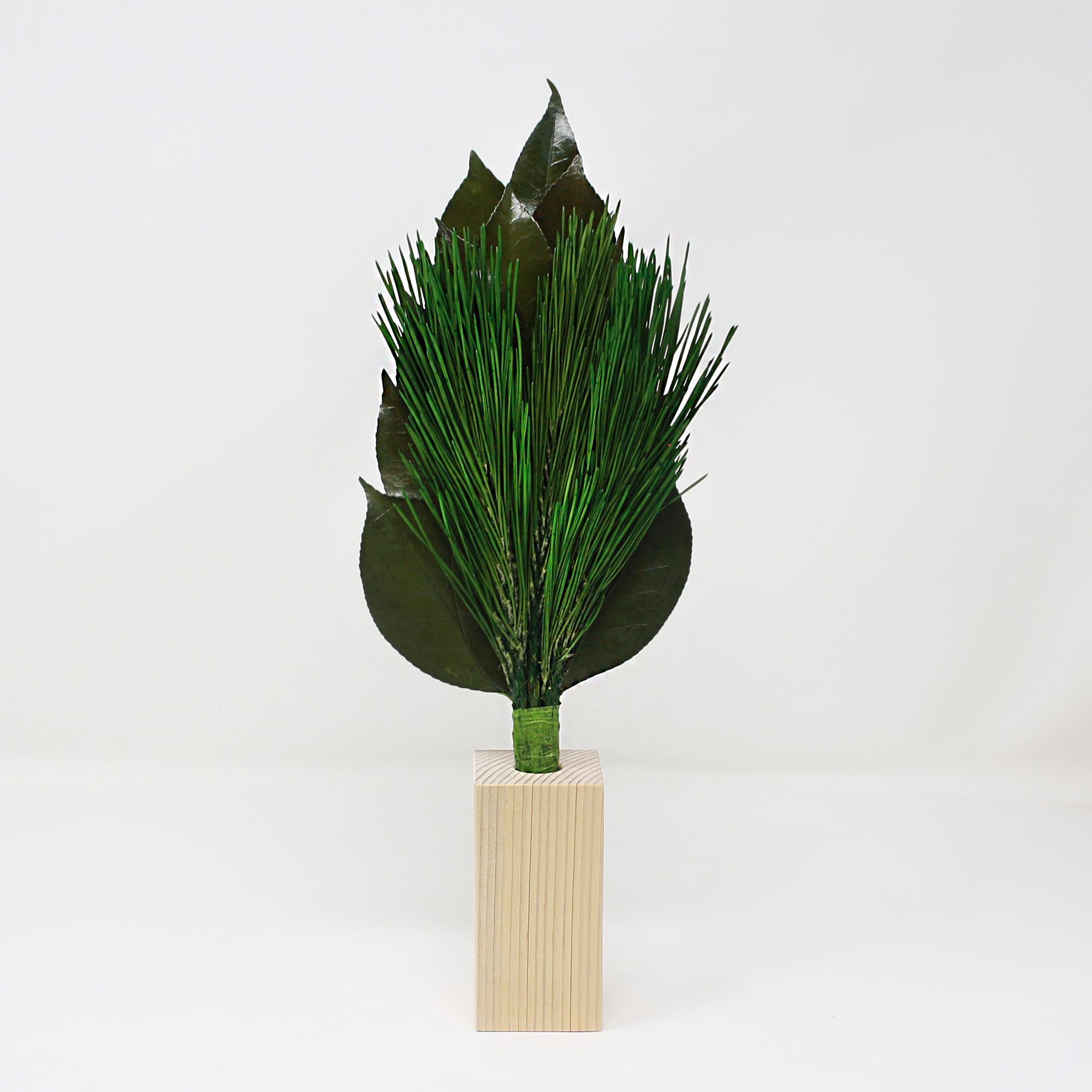 

[A&K] Kitchen Stovetop God, Arajin Pine, Medium Size, Sakaki Tree Stand Set [Made with Fresh Leaves] (Preserved with High-Quality Tanba Camellia