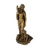 Goddess Statue Resin Art Teaching Tool Crafts Decorative Aphrodite Statue for Desktop Office Bedroom Housewarming Gift Indoor