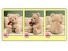 Adorable Rose Teddy Bear Plush Doll - Cute Large Pillow Toy for Girl's Birthday Gift