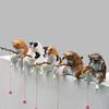 Fish Tank Fishing Cat Hanging Creative Landscape Office Ornaments Fishing Fun Mini Decorative Micro-Landscape