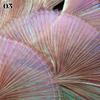 1M Iridescent Organ Pleated Fabric Shiny Magic Coloured Voile Fabric For DIY Costume Wedding Photography Background Decor