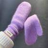 Thick Thermal Winter Warm Mittens Plush Material Plush Soft Gloves Warm Thermal Gloves  Cycling