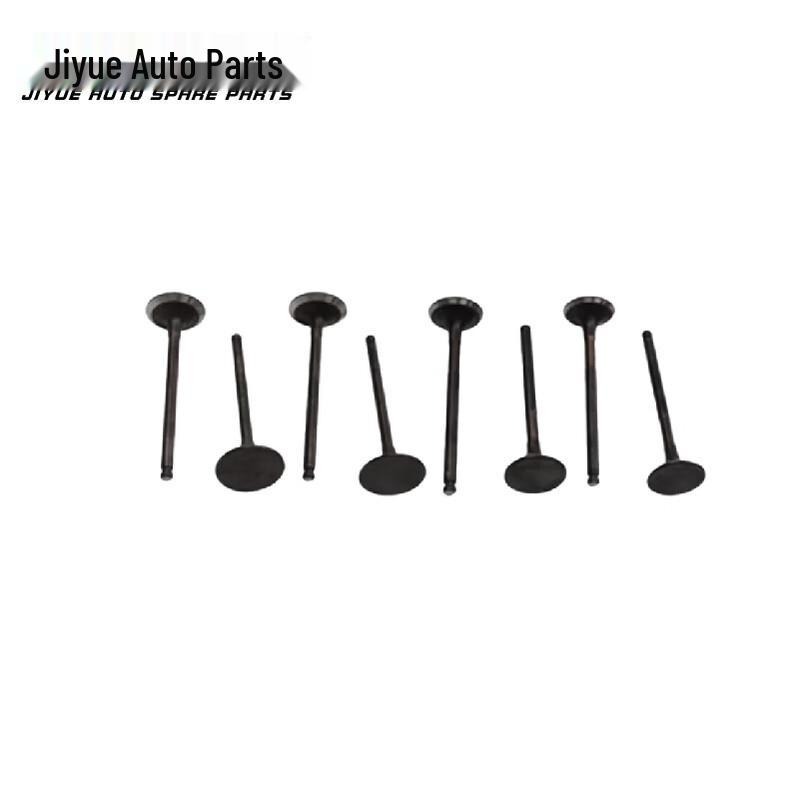 Jiyue Engine Intake and Exhaust Valves