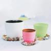 5pcs 6/8/10/12 Inch Drip Trays Round Plant Base Water Pan Plastic Flower Pot Tray  Potted Plant