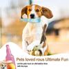 Plastic Crunchnplay Bottle Toy Creative Bottle Chew Toys New Dog Water Bottle Toy  for Dogs