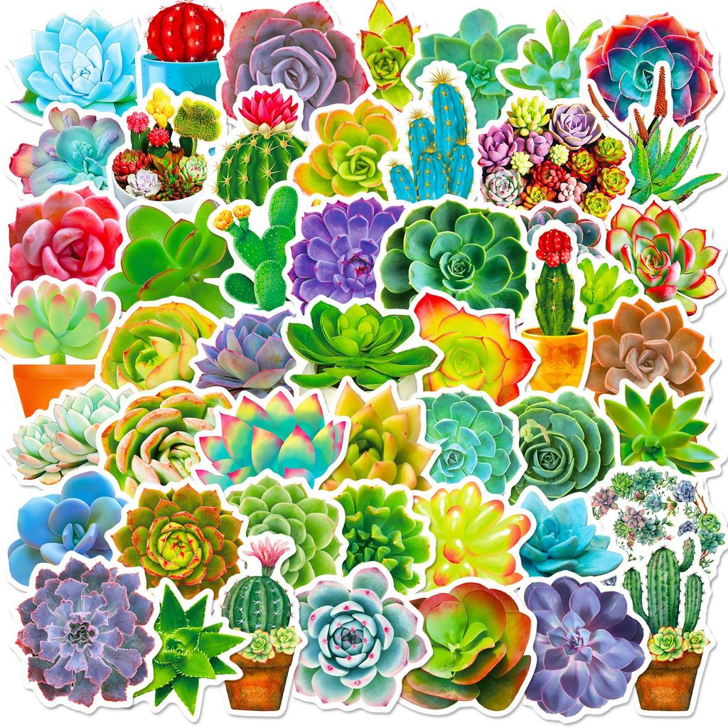 50 Pieces of Succulent Cactus Potted Fresh Stickers DIY Suitcase Notebook Water Cup Stickers