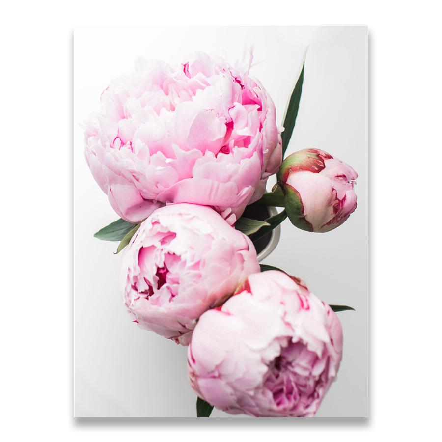 Nordic Minimalist Posters and Prints Pink Peony Flower Kids Room Decor Canvas Painting Wall Art Picture for Living Room No Frame