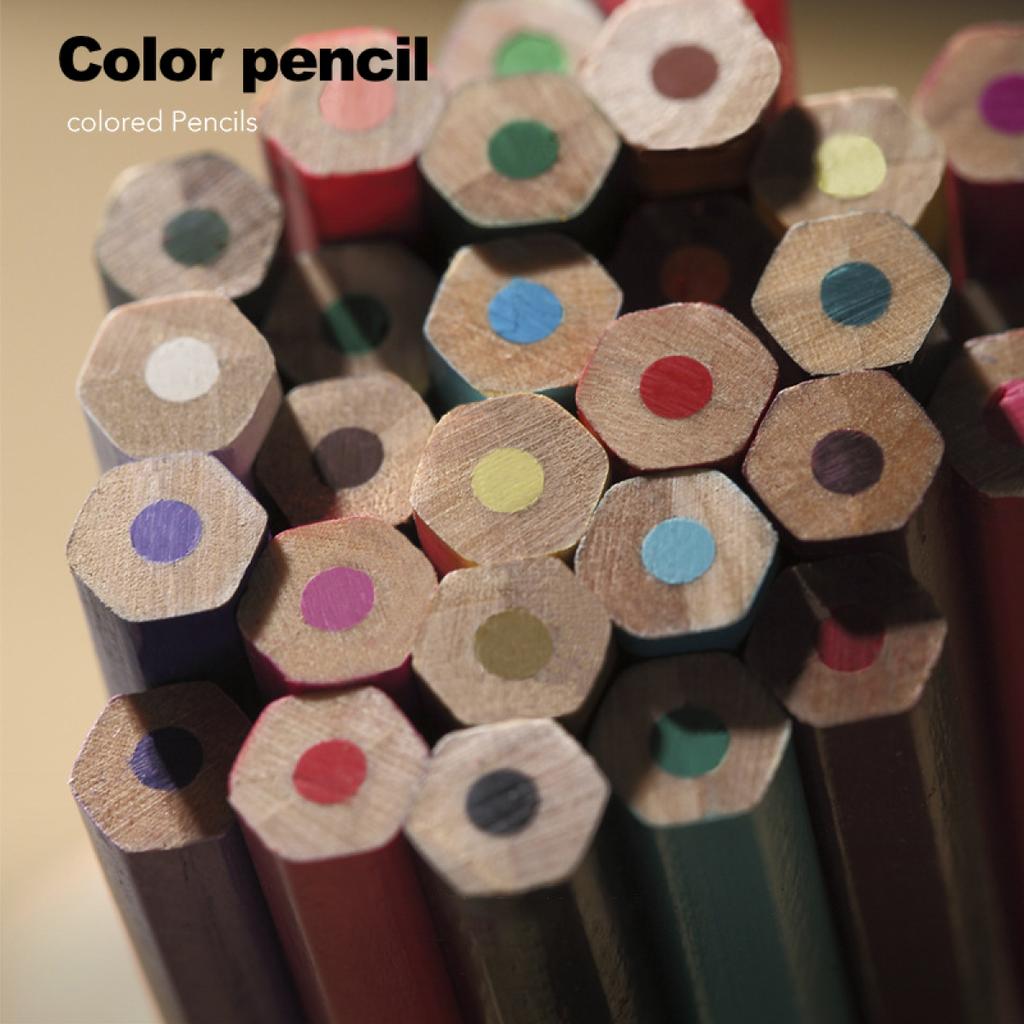 Matite colorate, penne colorate, 24 pennelli colorati a base di olio, set di cancelleria, portapennelli account