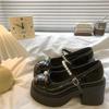 White round head thick heel platform small leather shoes women's new summer skirt Mary Jane shoes