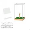 Golf Ball Display Case Clear Acrylic Tabletop Artificial Turf Household Decor for