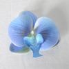 5pcs Simulated Film Butterfly Orchid Flower Head Petals Flower Accessories Headwear Hairclip Handmade Wedding Gift Decoration