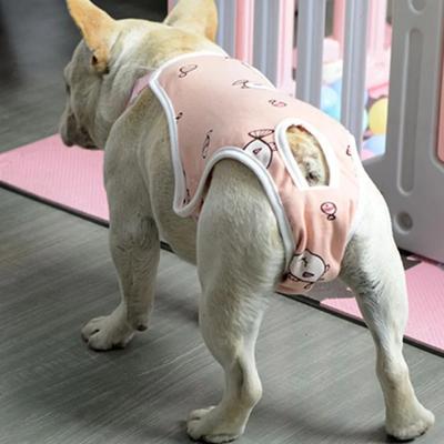 Hunde – Hundepflege-Artikel