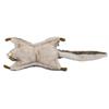 BH5855 HANSA Flying Squirrel 35