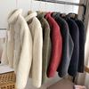 Japanese Couples' Style Stand Collar Lamb Wool Coat - Women's Autumn/Winter, Loose Fit with Pocket & Zipper.