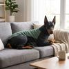 High Stretch Fleece Dog Jumpsuit Soft Warm Dog Warm Pajamas Dog Winter Home Outfit  Sleeping