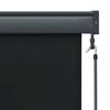 Vidaxl External Roller Blind, 100X250 Cm, Anthracite
