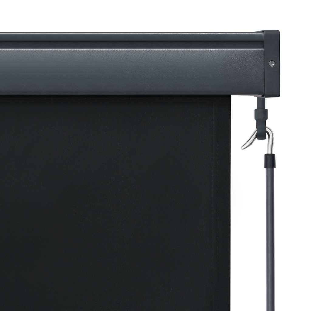 Vidaxl External Roller Blind, 100X250 Cm, Anthracite