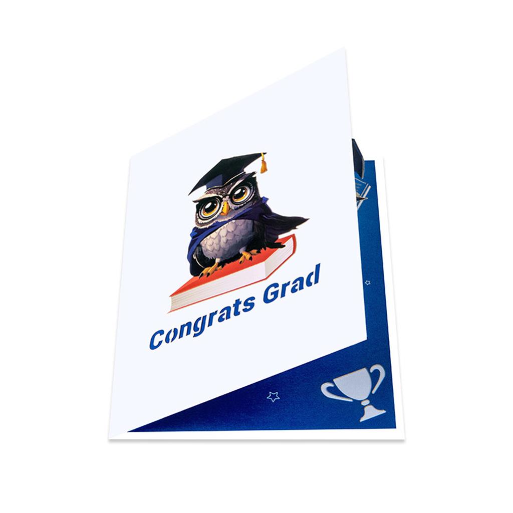 Congratulatory 3D Owl Graduation Card with Caps and Diploma Festival Graduation Card Paper Texture Perfect for Graduate