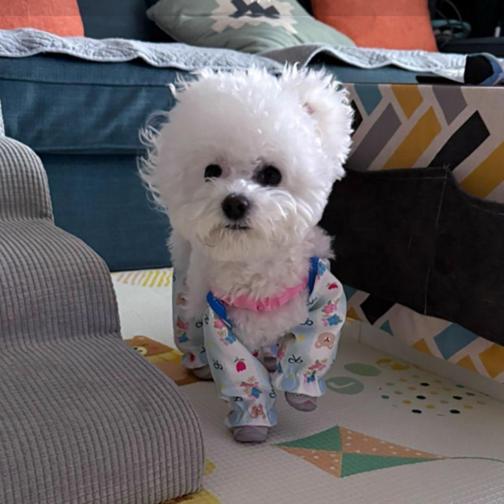 Polyester Dog Four Legged Pants With Shoes Dog Leg Protection Pants  Summer