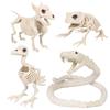 Halloween Scene Decorations Animal Skull Skeleton Ornament Simulation Plastic Crow Mouse Scorpion Decorative Props